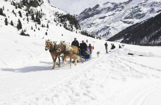 Garni Regina** - St. Valentin auf der Haide - Südtirol 37